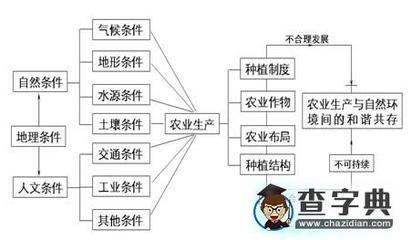 以點畫線以線拉網 縱橫交織強化聯系